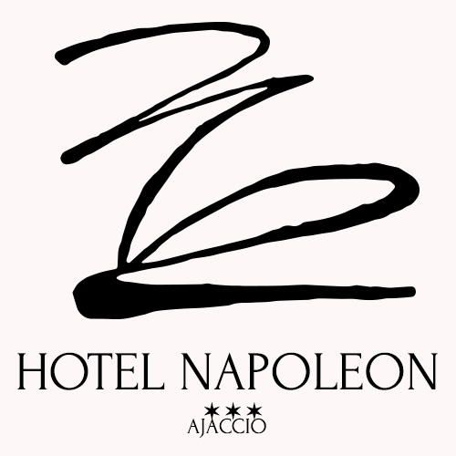 From Bonaparte to Napoleon From Bonaparte to Napoleon